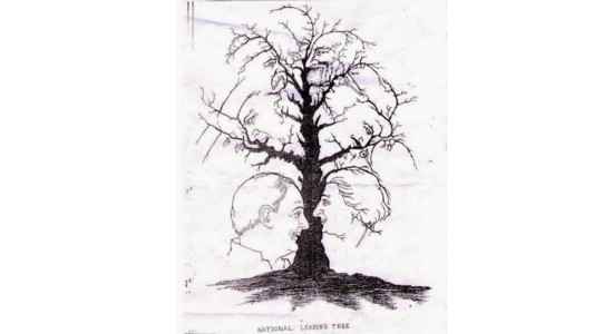 Acertijo viral: ¿cuántas caras podés ver en este árbol?