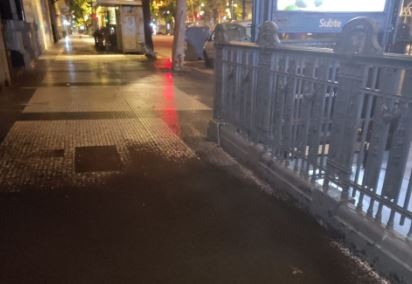 La estación Piedras de la línea A de subte estuvo cerrada durante tres horas por una invasión de insectos