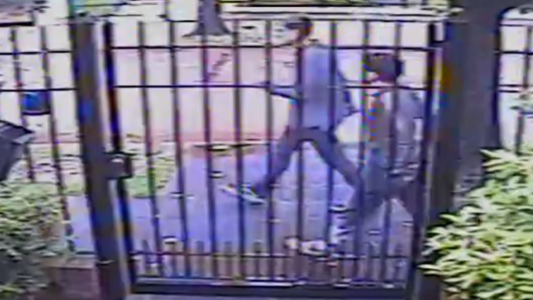 Los sospechosos del crimen del empresario en San Isidro