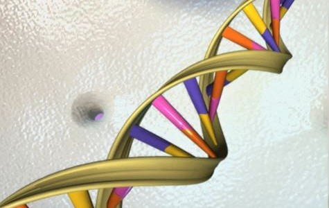 Estados Unidos aprueba la primera terapia de genes para niños con una rara enfermedad hereditaria