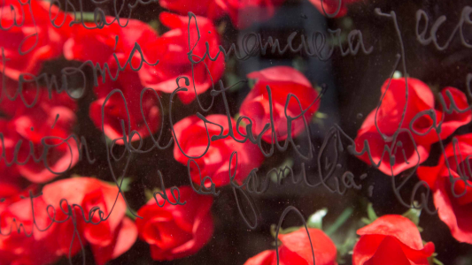 El Centro Cultural Recoleta inauguró seis nuevas muestras de artes visuales