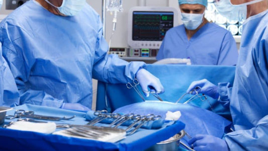 Cirujanos de Estados Unidos trasplantan por primera vez un riñón de cerdo a un paciente vivo