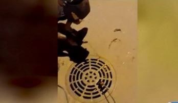 Tienen que soldar las alcantarillas para que no se las roben