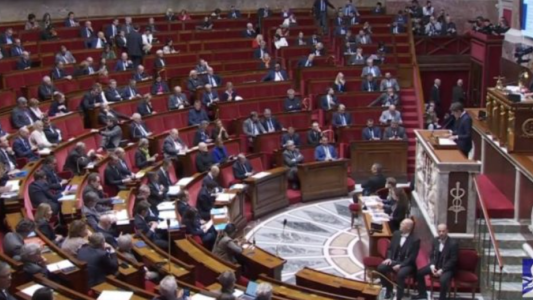 Francia avanza en la ley que busca prohibir la "discriminación capilar"