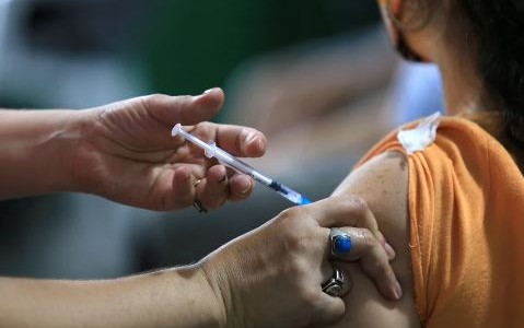 Vacuna contra el dengue: el Gobierno rechazó "presiones" para "apresurar" su aplicación