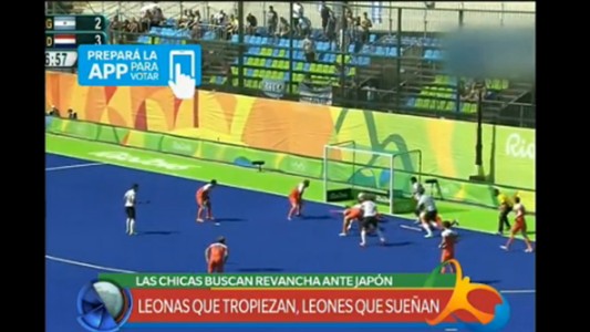 Leonas que tropiezan, Leones que sueñan