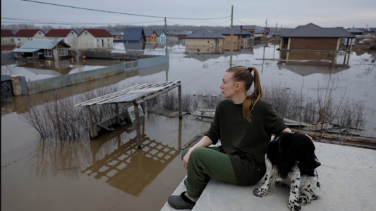 "Arca de Noé": el drama del refugio de animales en una ciudad inundada