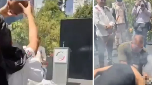 Escándalo en México por el sacrificio de una gallina en el Senado