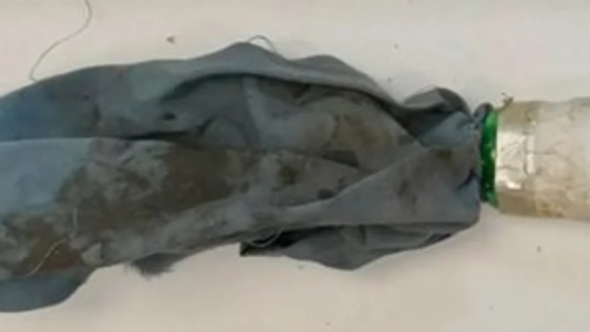 La Cámara Federal revocó el fallo que decía que marchar con una molotov no era delito