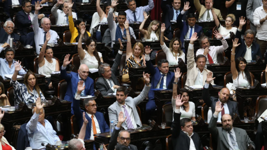 Ley Bases: Diputados aprobó la delegación de facultades y privatizaciones de empresas