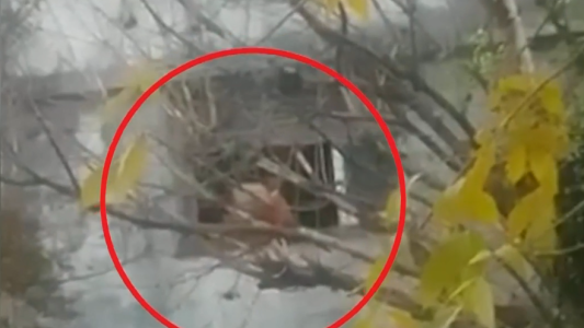 Video: detuvieron al loco de la carabina en Lanús