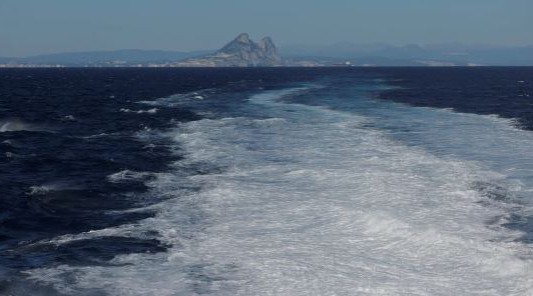 Orcas hundieron un velero en el estrecho de Gibraltar