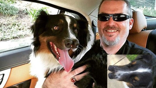 Adoptó a un perro con dos narices que iba a ser sacrificado y lo salvó