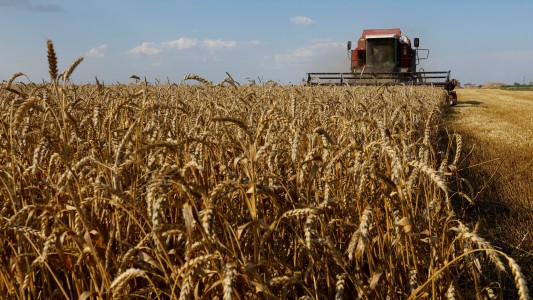 Se retrasa el ingreso de divisas por la soja: hasta ahora solo se vendió el 34% de la producción