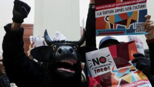 El Congreso de Colombia prohibió las corridas de toros