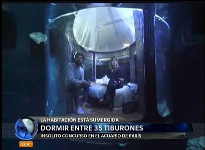 Una noche entre tiburones