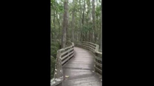 El inesperado encuentro de una mujer durante un paseo que aterroriza a Facebook