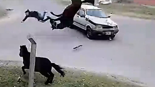 Video: adolescente le sacó el caballo al vecino y se estrelló contra un auto