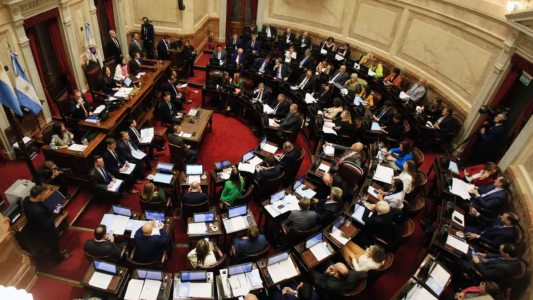 Llegó al Senado el proyecto de movilidad jubilatoria: se estima que hay amplia mayoría para aprobarlo