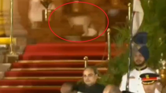 Video: un animal se coló en la investidura del gobierno indio