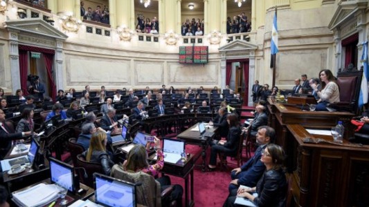 El Senado debatirá por separado la Ley Bases y el paquete fiscal y se espera una larga discusión