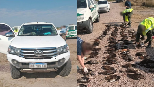 Operativo “Cazadores cazados”: se incautaron 84 piezas de patos silvestres