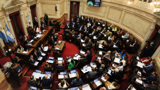 Ley Bases: el Gobierno confía en tener los votos en el Senado pero hay puntos sin acuerdo