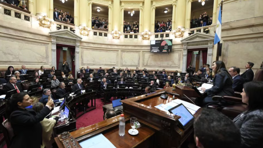 Tras las modificaciones introducidas en el Senado, la Ley Bases vuelve a Diputados: piden "rápido" debate