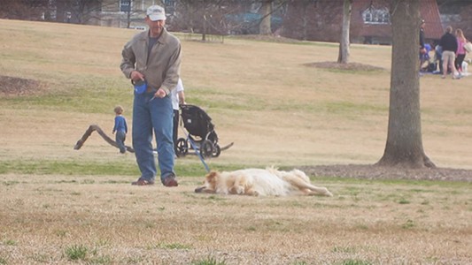 Video: el perro que se hace el “muerto” para quedarse un rato más en el parque