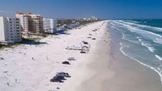 Tres personas fueron atacadas por tiburones en Florida y Texas