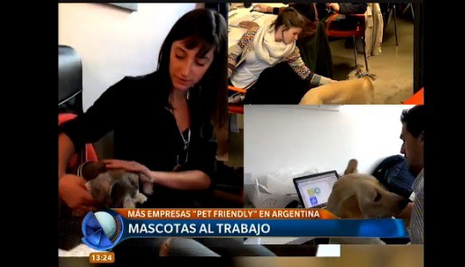 Mascotas al trabajo, una tendencia que crece en nuestro país