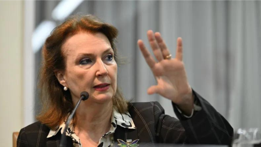 "Maduro, reconozca la derrota": duro mensaje de la canciller Mondino por las elecciones en Venezuela