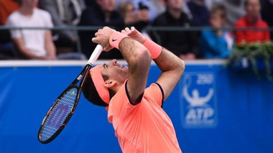 Del Potro derrotó a Grigor Dimitrov y disputará la final en Estocolmo