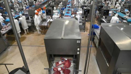 El Gobierno elimina derechos de exportación en productos agroindustriales