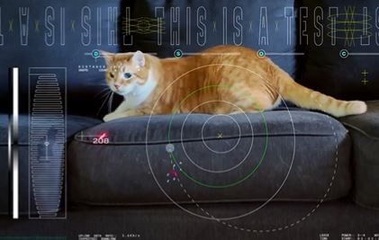La NASA bajó un clip emitido a 31 millones de km de la Tierra con un gato