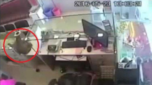 Video de cámara de seguridad: buscan a un mono que robó en una joyería