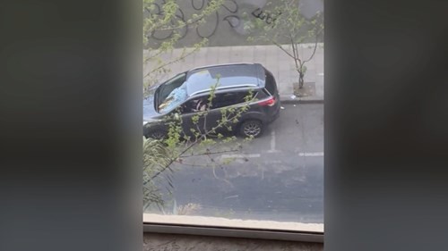 Video: Intentó estacionar y se llevó todo puesto