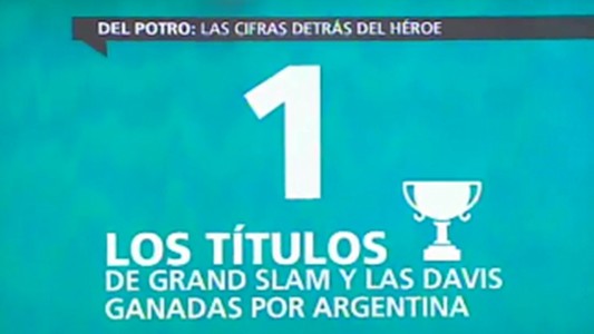 Del Potro: las cifras detrás del héroe