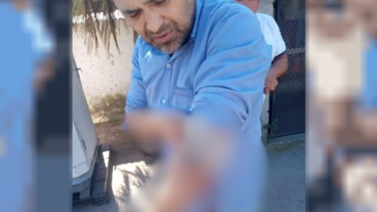 Paro en una empresa de colectivos por el ataque a un chofer en Luis Guillón