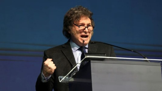 Pedido de captura internacional contra Milei: el Gobierno presentó un "habeas corpus" ante la Justicia