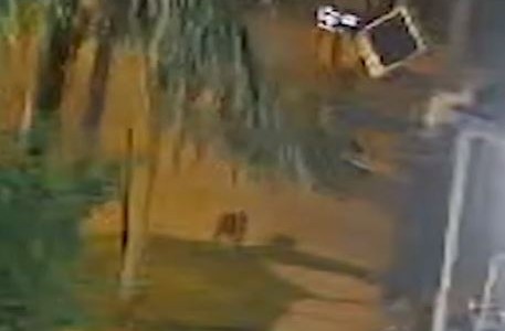 Video: Robó un aire acondicionado y se le cayó encima