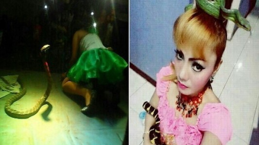 Muerte en el escenario: cantante fue mordida por una cobra en un show