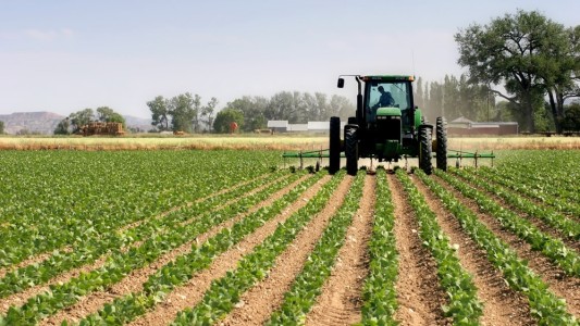 El Ministerio de Economía derogó 19 resoluciones del sector agropecuario