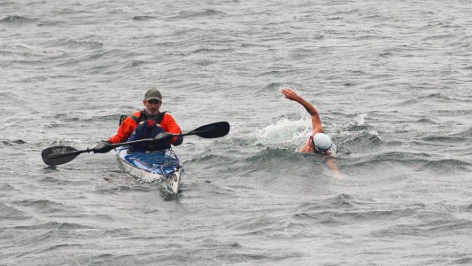 En el 40° aniversario del Tratado de Paz, nadadores argentinos y chilenos cruzaron sin traje de neopreno el Canal Beagle