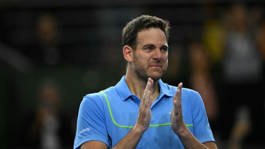 Del Potro, tras el partido con Djokovic: "Fue una despedida mucho más linda de lo que soñaba"