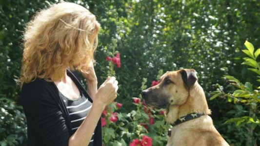 El perro porteño que fue adoptado por la azafata alemana cuenta su vida en Facebook