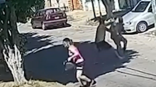 Violento ataque de un motochorro a una mujer: los vecinos salieron a ayudarla y le dieron una paliz al delincuente
