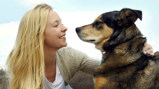 Los perros entienden lo que dicen los humanos y cómo lo dicen, afirma una investigación