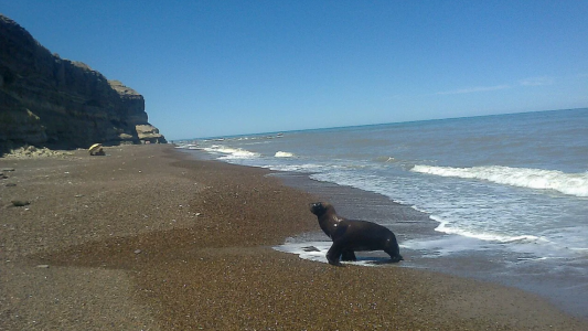 Viven 9 personas y tienen un mar solo para ellos: el pueblo patagónico soñado con playas de aguas templadas
