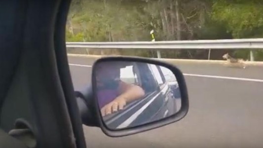 Un perro persigue desesperadamente por la ruta el coche de sus dueños tras ser abandonado